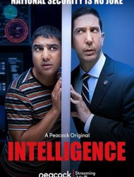 Intelligence saison 1